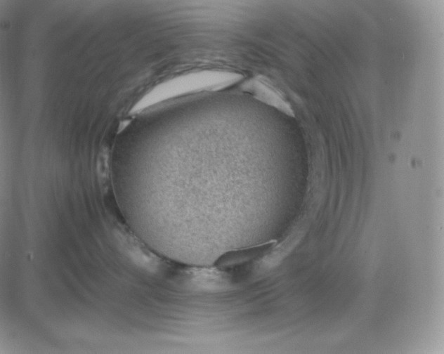 X0000081290528200701251656