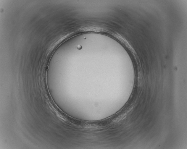 X0000081290529200701251655