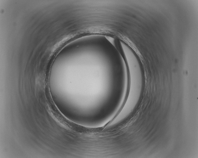 X0000081290530200701251655