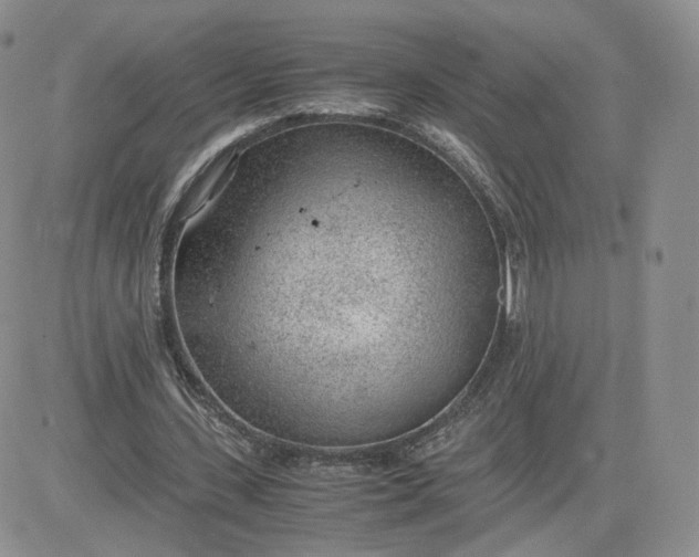 X0000081290531200701251655