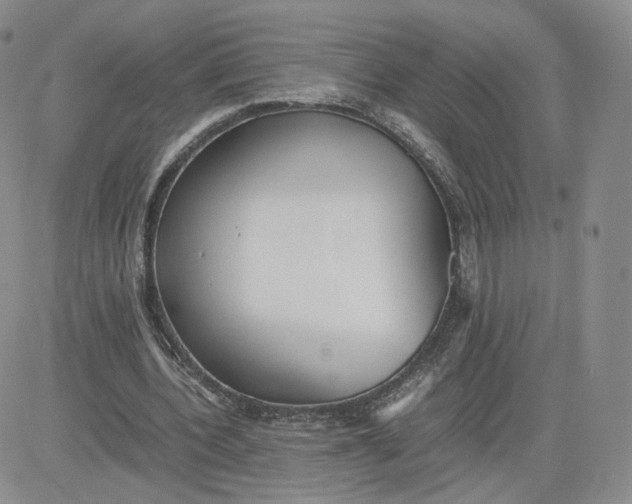 X0000081290532200701251655