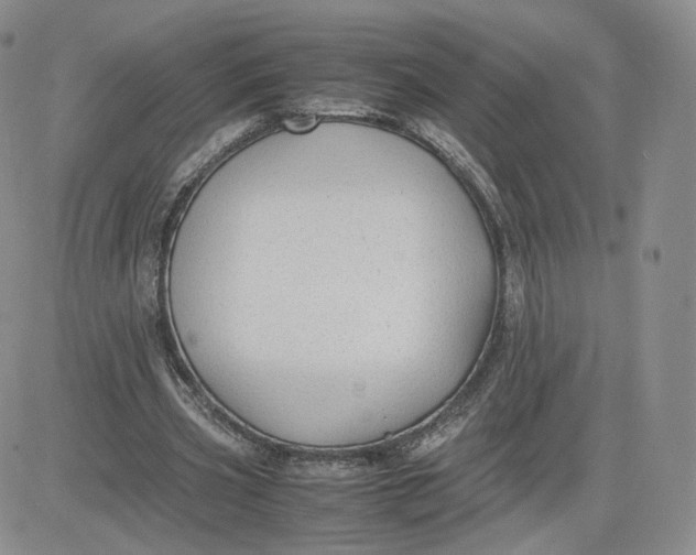 X0000081290533200701251655