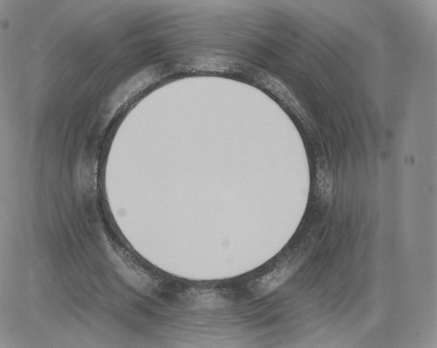 X0000081290534200701251655