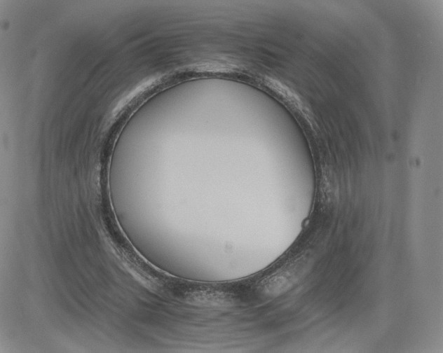 X0000081290535200701251655