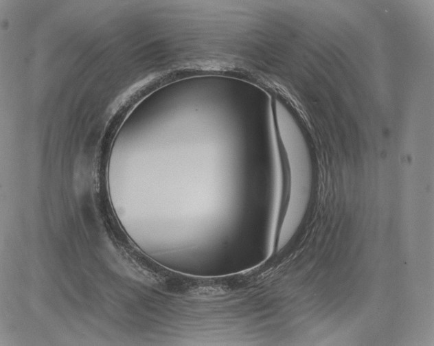 X0000081290536200701251655