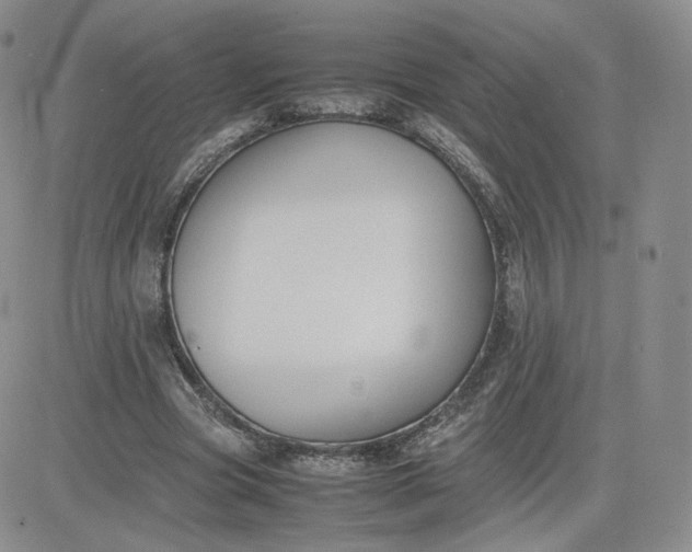 X0000081290537200701251655