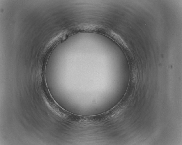 X0000081290538200701251655