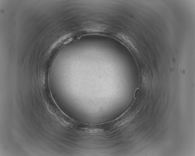 X0000081290539200701251655