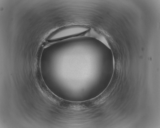 X0000081290540200701251655