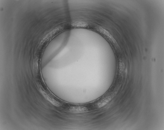 X0000081290541200701251655