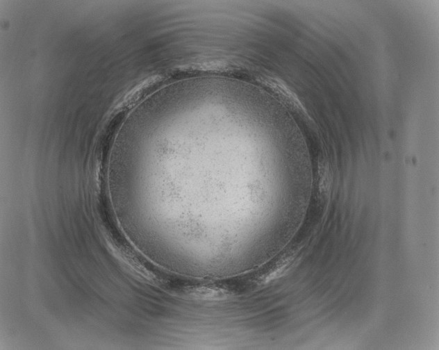 X0000081290542200701251655