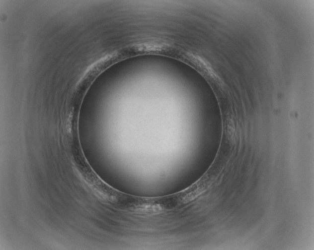 X0000081290543200701251655