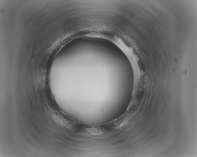 X0000081290544200701251655