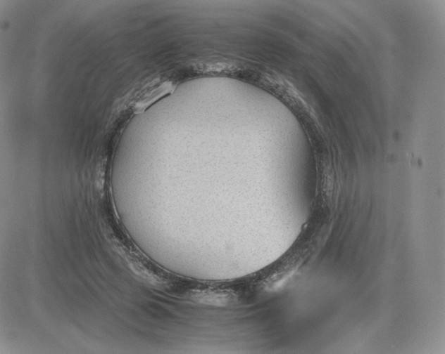 X0000081290545200701251655