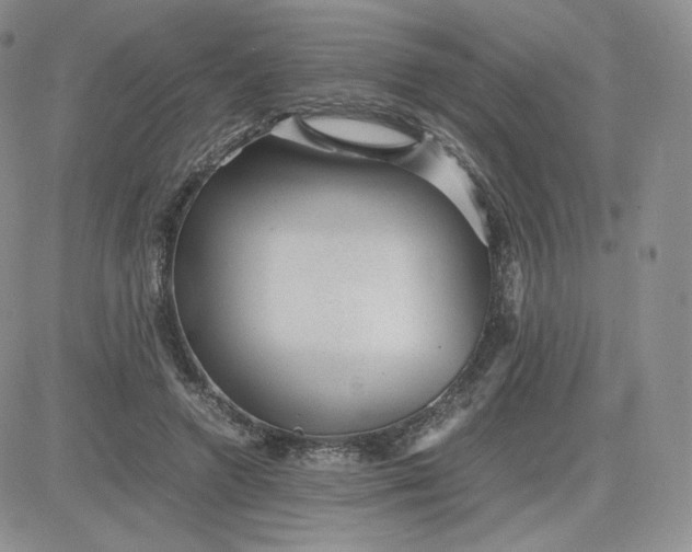 X0000081290546200701251655