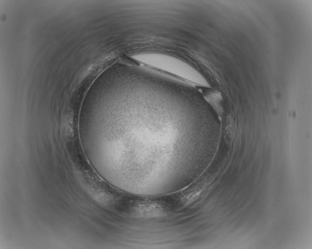 X0000081290547200701251655