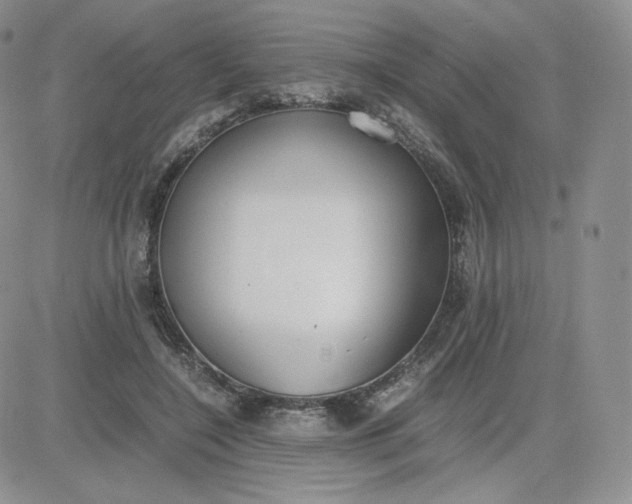 X0000081290548200701251655