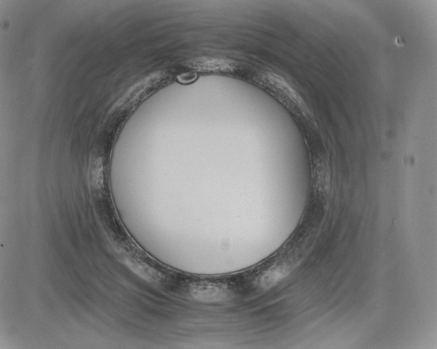 X0000081290549200701251655