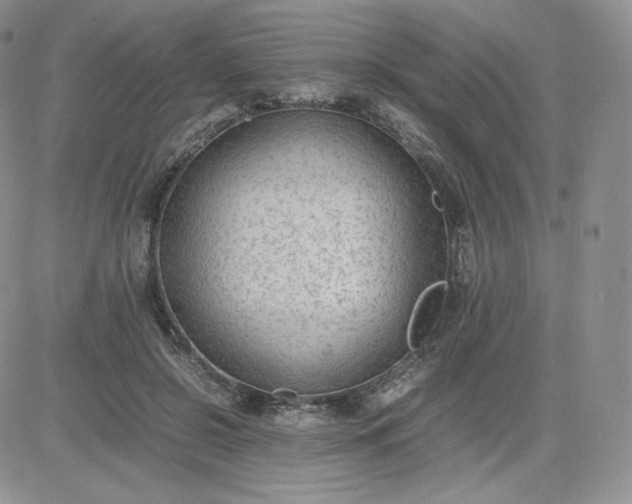 X0000081290550200701251655