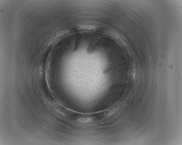 X0000081290551200701251655