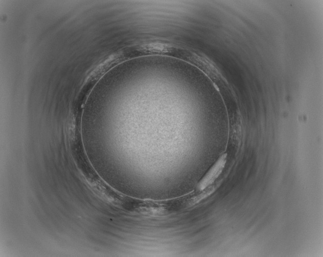 X0000081290552200701251655