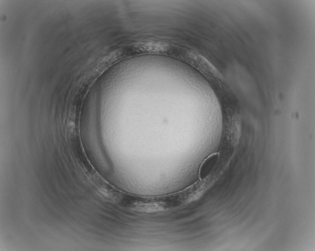 X0000081290553200701251655