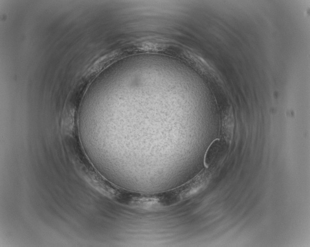 X0000081290554200701251655