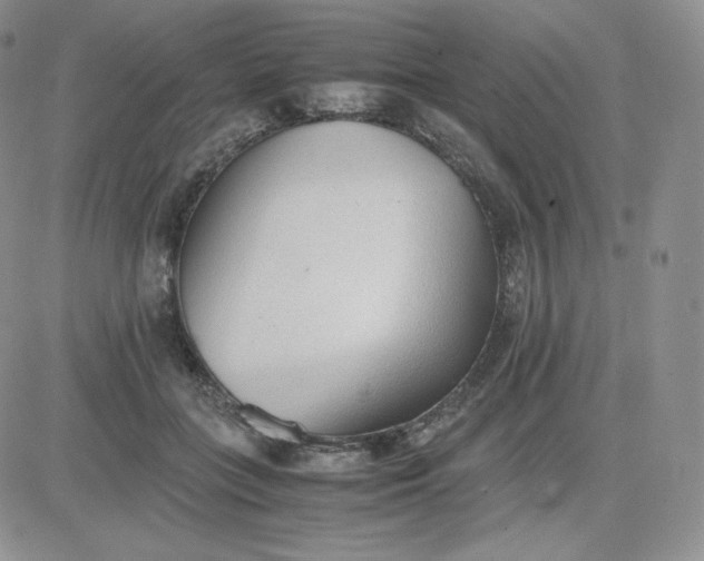 X0000081290555200701251655