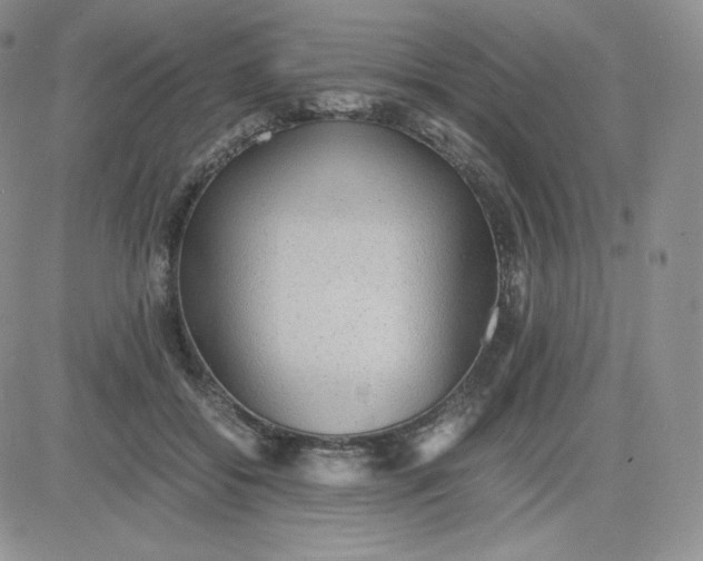 X0000081290556200701251655