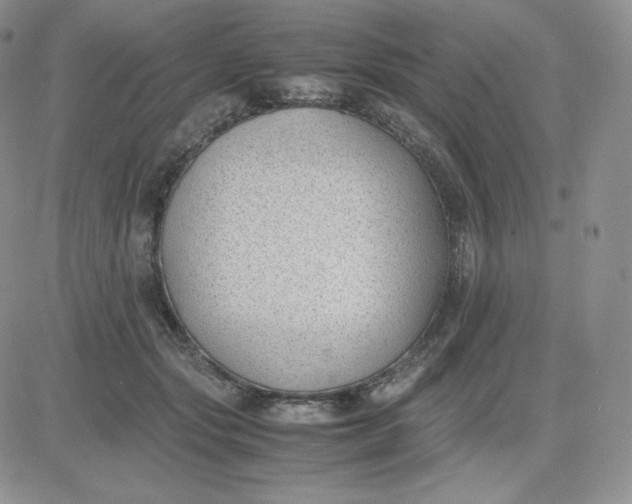 X0000081290557200701251655