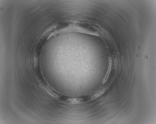 X0000081290558200701251655