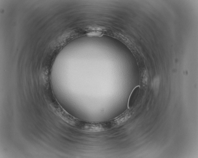 X0000081290559200701251655