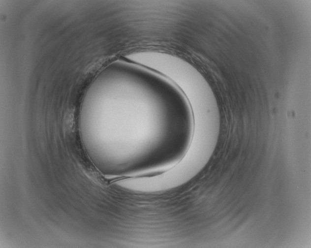 X0000081290560200701251656