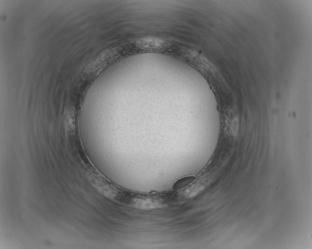 X0000081290561200701251656