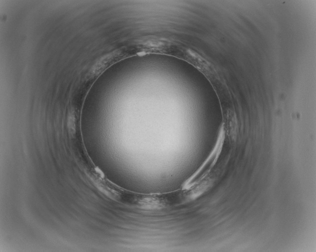 X0000081290562200701251656