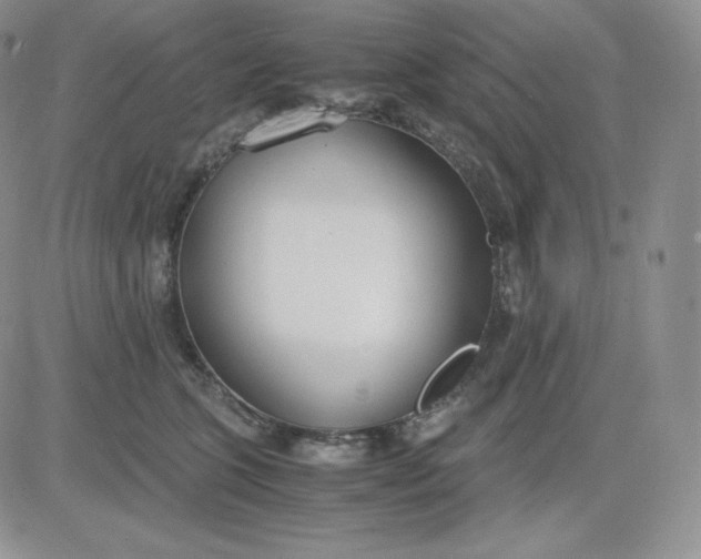 X0000081290563200701251656