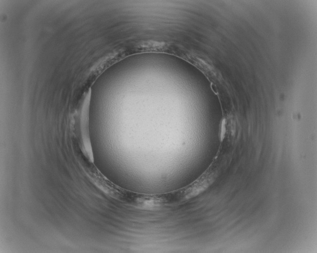 X0000081290564200701251656