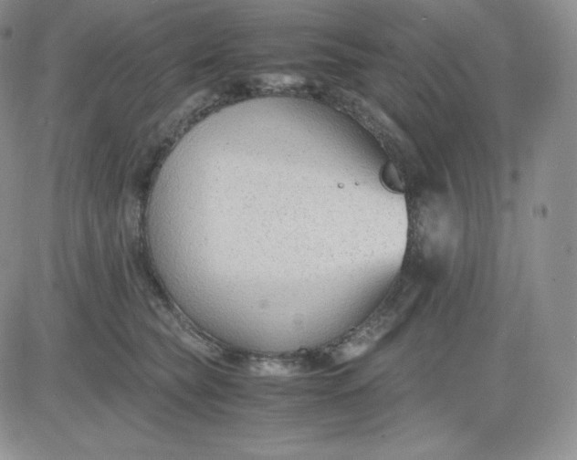 X0000081290565200701251656