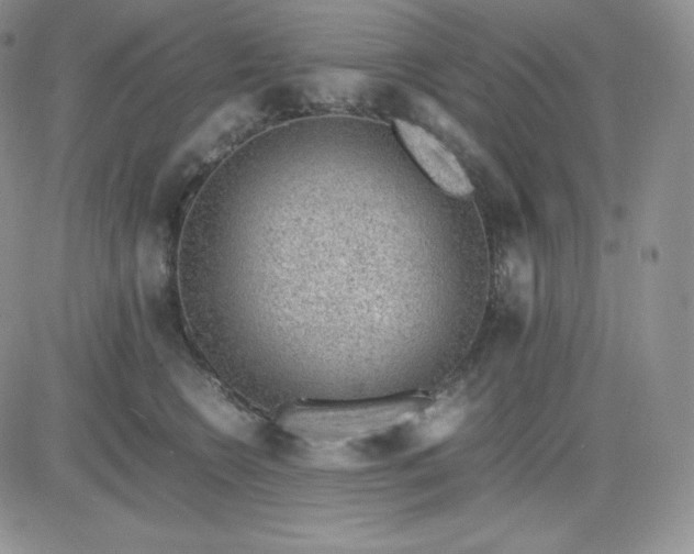 X0000081290566200701251656