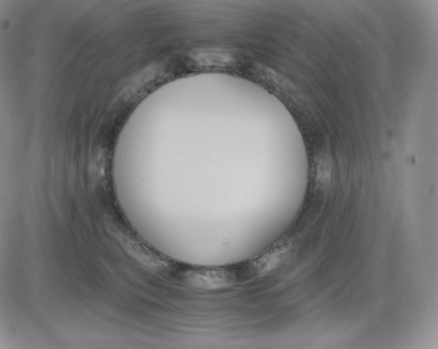 X0000081290567200701251656