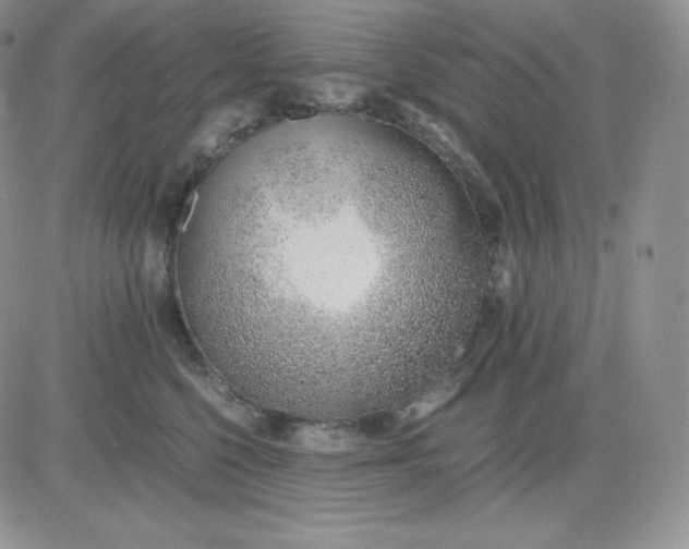 X0000081290568200701251656