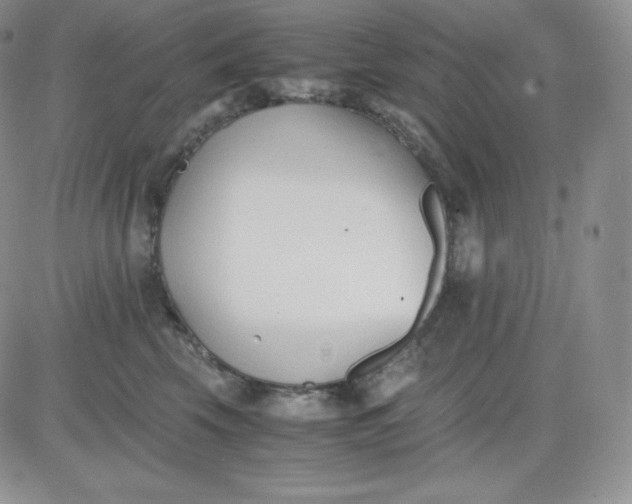 X0000081290569200701251656