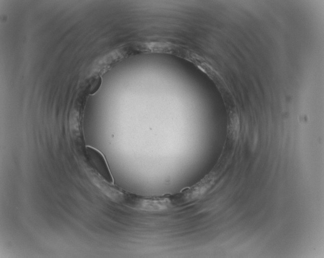 X0000081290571200701251656