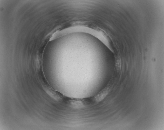 X0000081290572200701251656