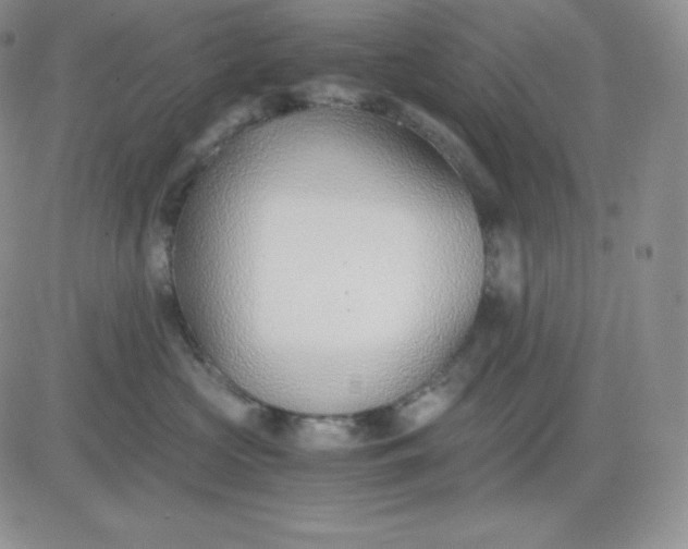 X0000081290573200701251656