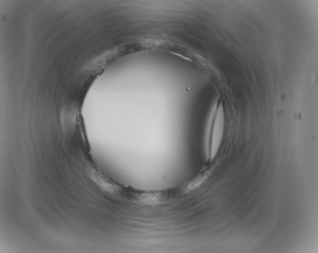 X0000081290574200701251656