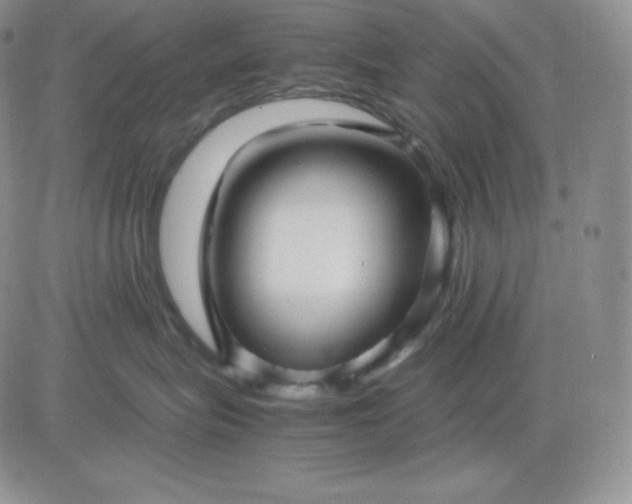 X0000081290575200701251656