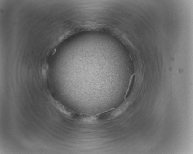 X0000081290576200701251656