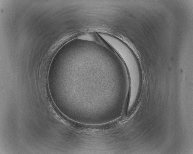 X0000081290577200701251655