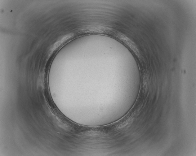 X0000081290578200701251655